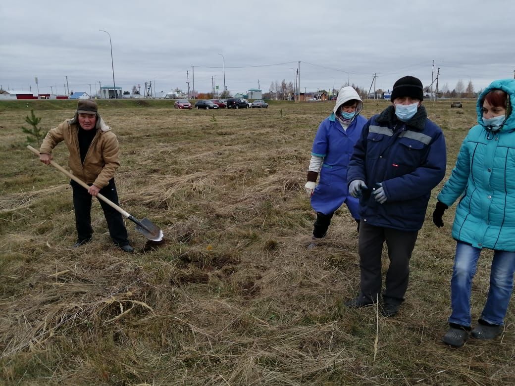 В Рыбно-Слободском районе продолжается озеленение территории