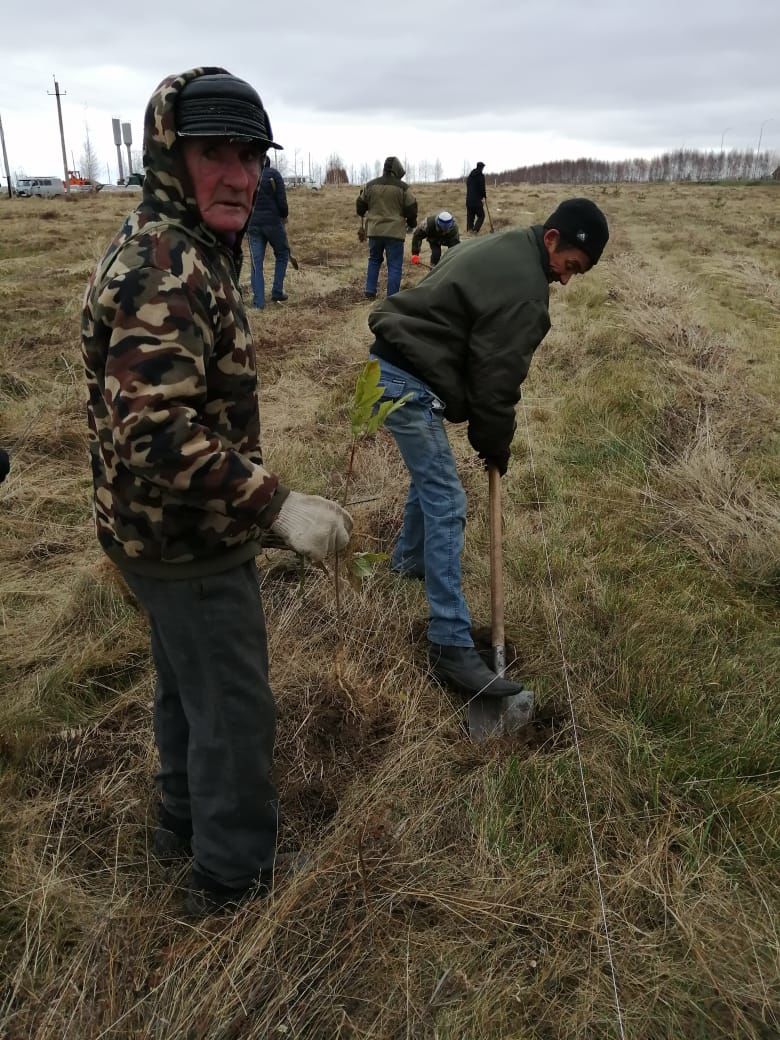 В Рыбно-Слободском районе продолжается озеленение территории