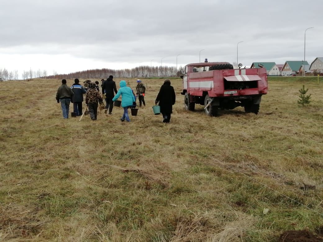 В Рыбно-Слободском районе продолжается озеленение территории