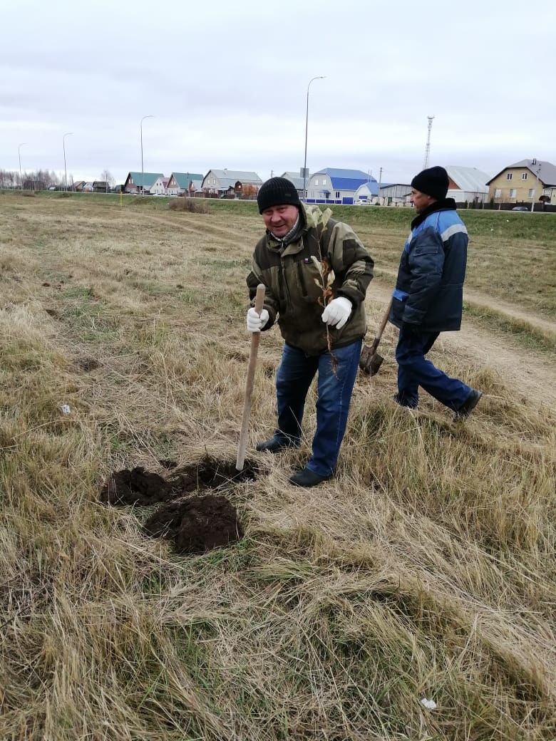 В Рыбно-Слободском районе продолжается озеленение территории