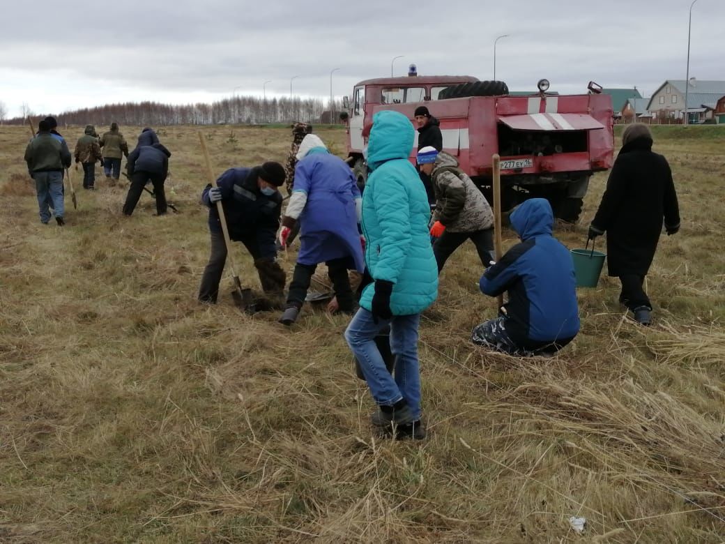 В Рыбно-Слободском районе продолжается озеленение территории