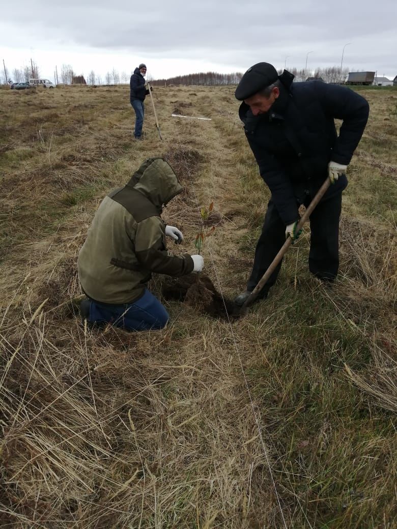 В Рыбно-Слободском районе продолжается озеленение территории