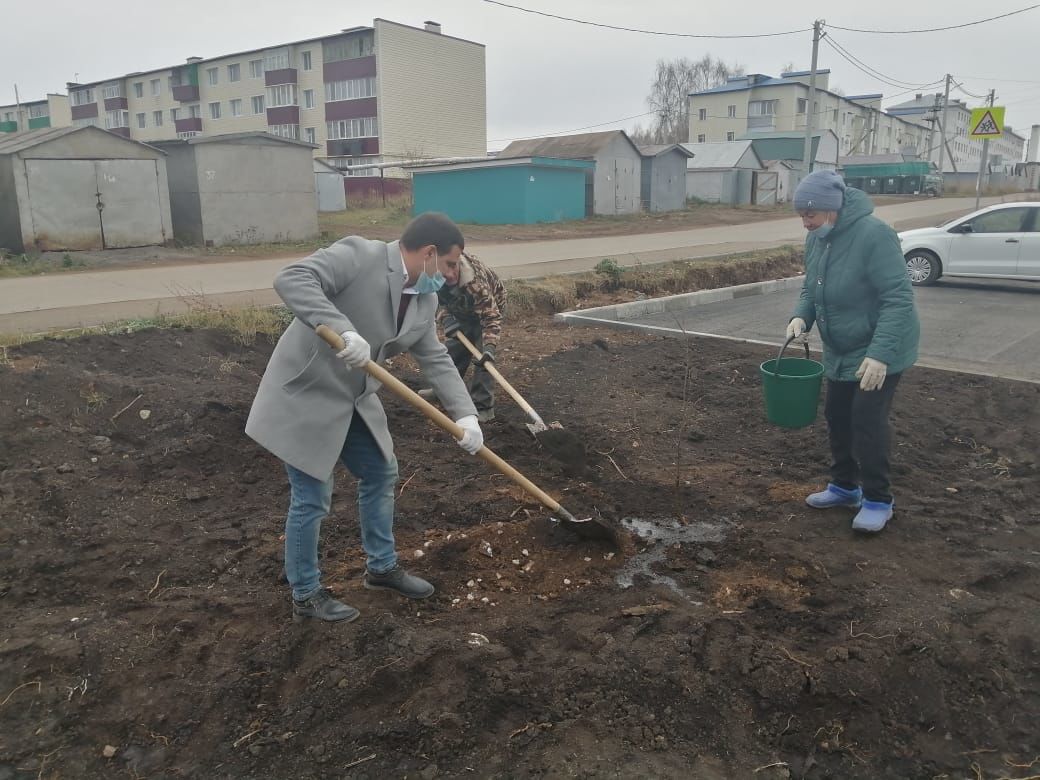 В Рыбной Слободе высадили 20 саженцев липы