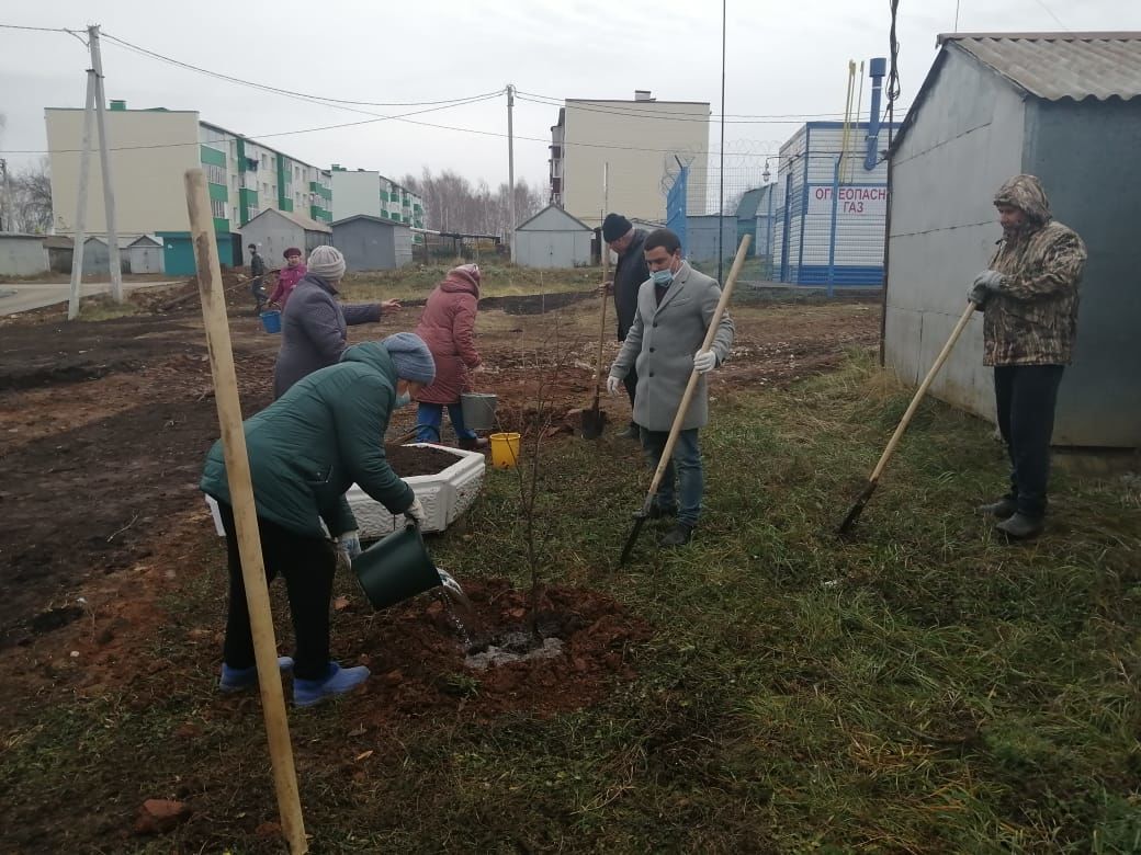 В Рыбной Слободе высадили 20 саженцев липы