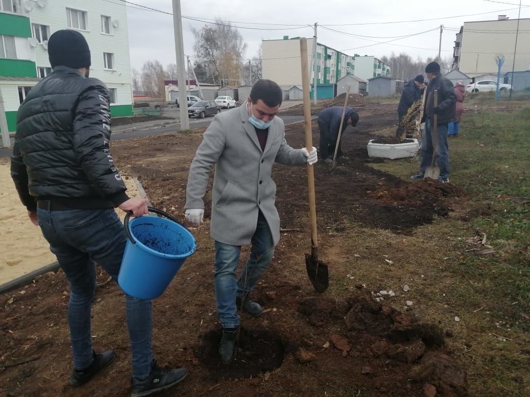 В Рыбной Слободе высадили 20 саженцев липы