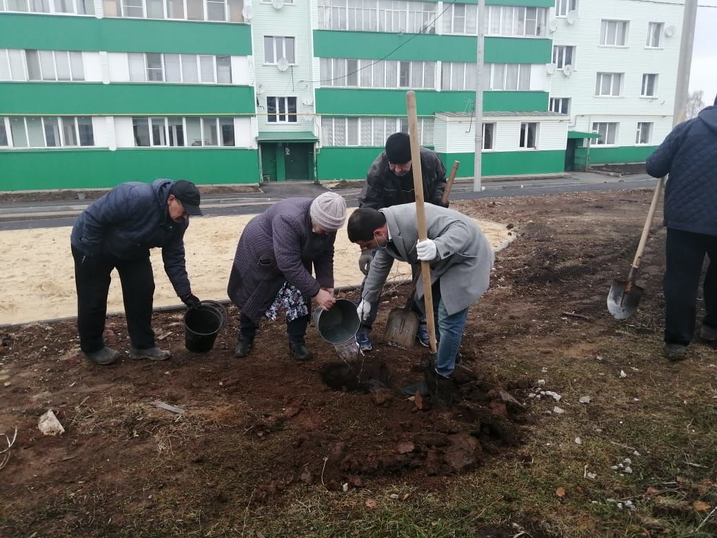 В Рыбной Слободе высадили 20 саженцев липы