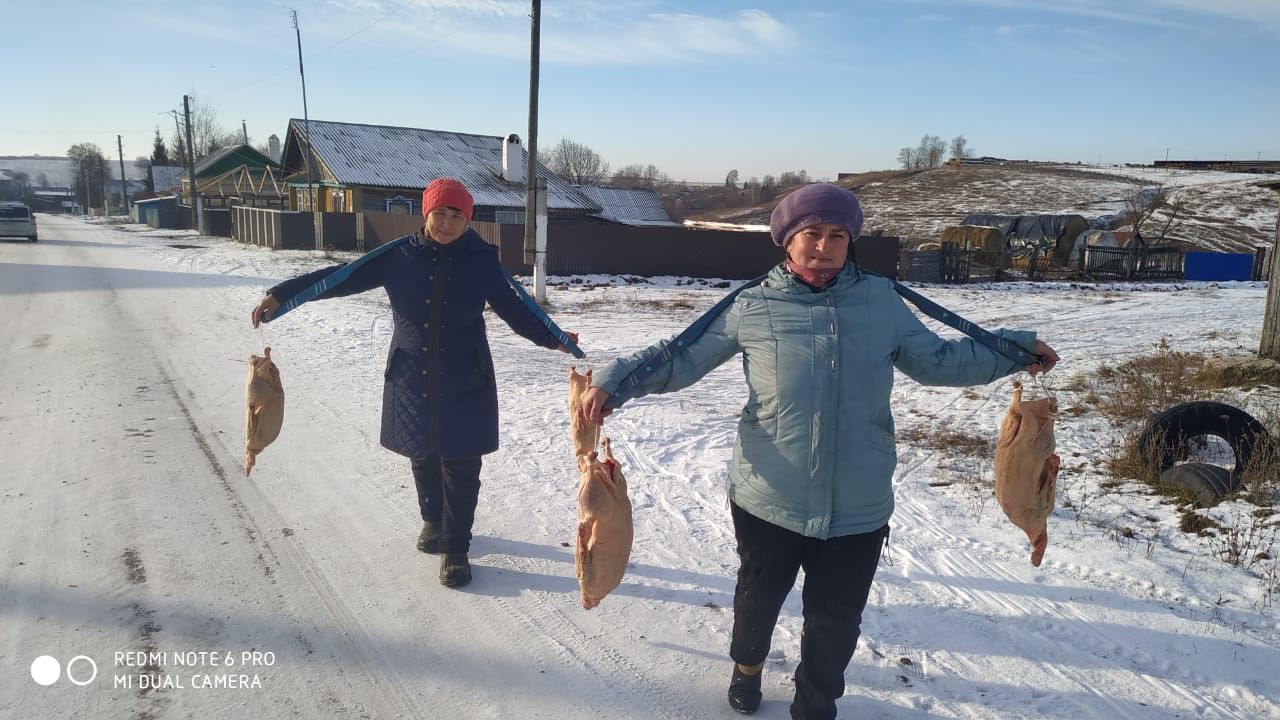 В Рыбно - Слободском  районе начались «гусиные посиделки»