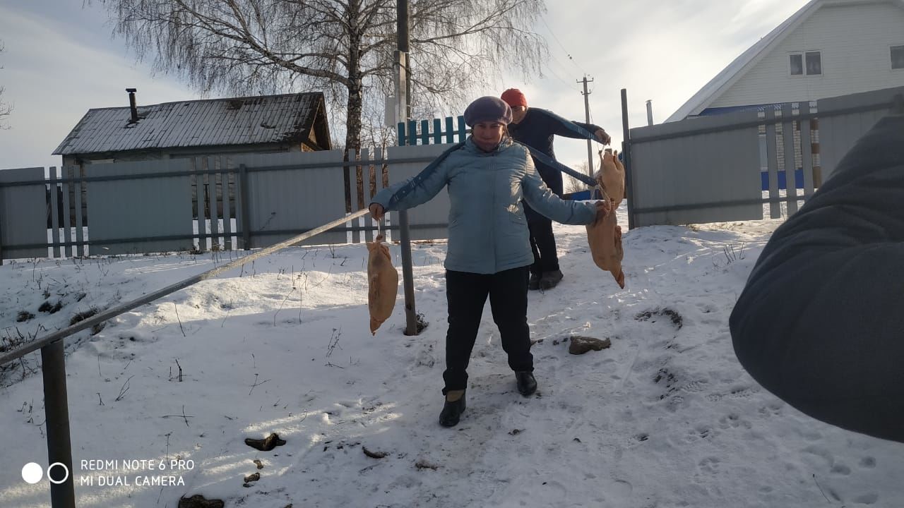 В Рыбно - Слободском  районе начались «гусиные посиделки»