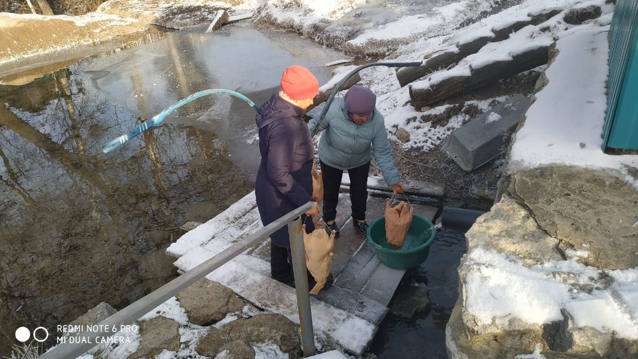 В Рыбно - Слободском  районе начались «гусиные посиделки»