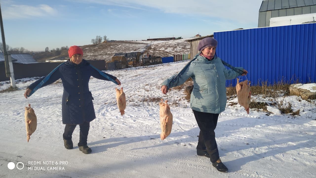 В Рыбно - Слободском  районе начались «гусиные посиделки»