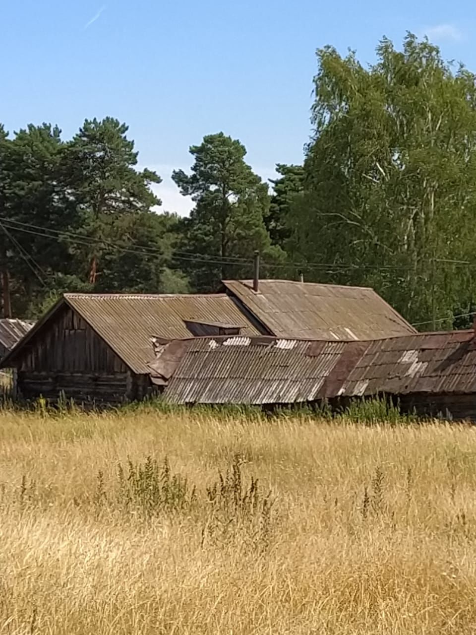 "Авыл офыклары" журналистлары Камский поселыгында булып кайттылар.