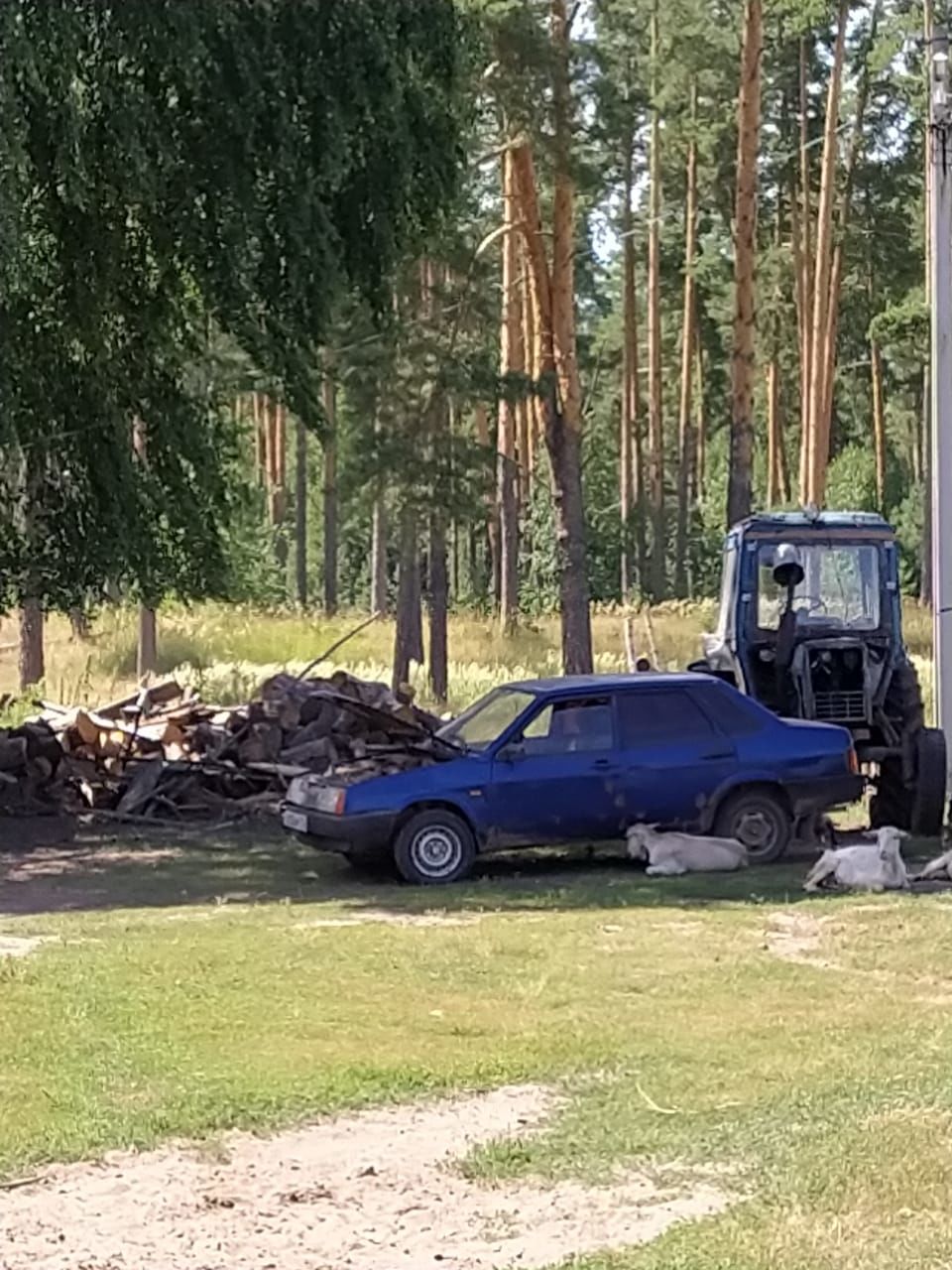 "Авыл офыклары" журналистлары Камский поселыгында булып кайттылар.