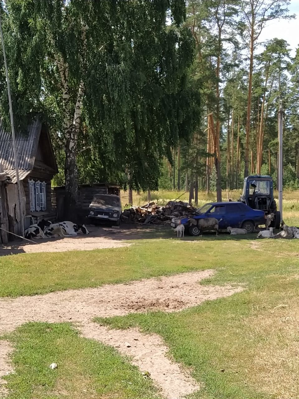 "Авыл офыклары" журналистлары Камский поселыгында булып кайттылар.