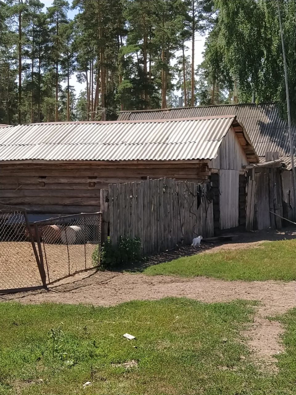 "Авыл офыклары" журналистлары Камский поселыгында булып кайттылар.