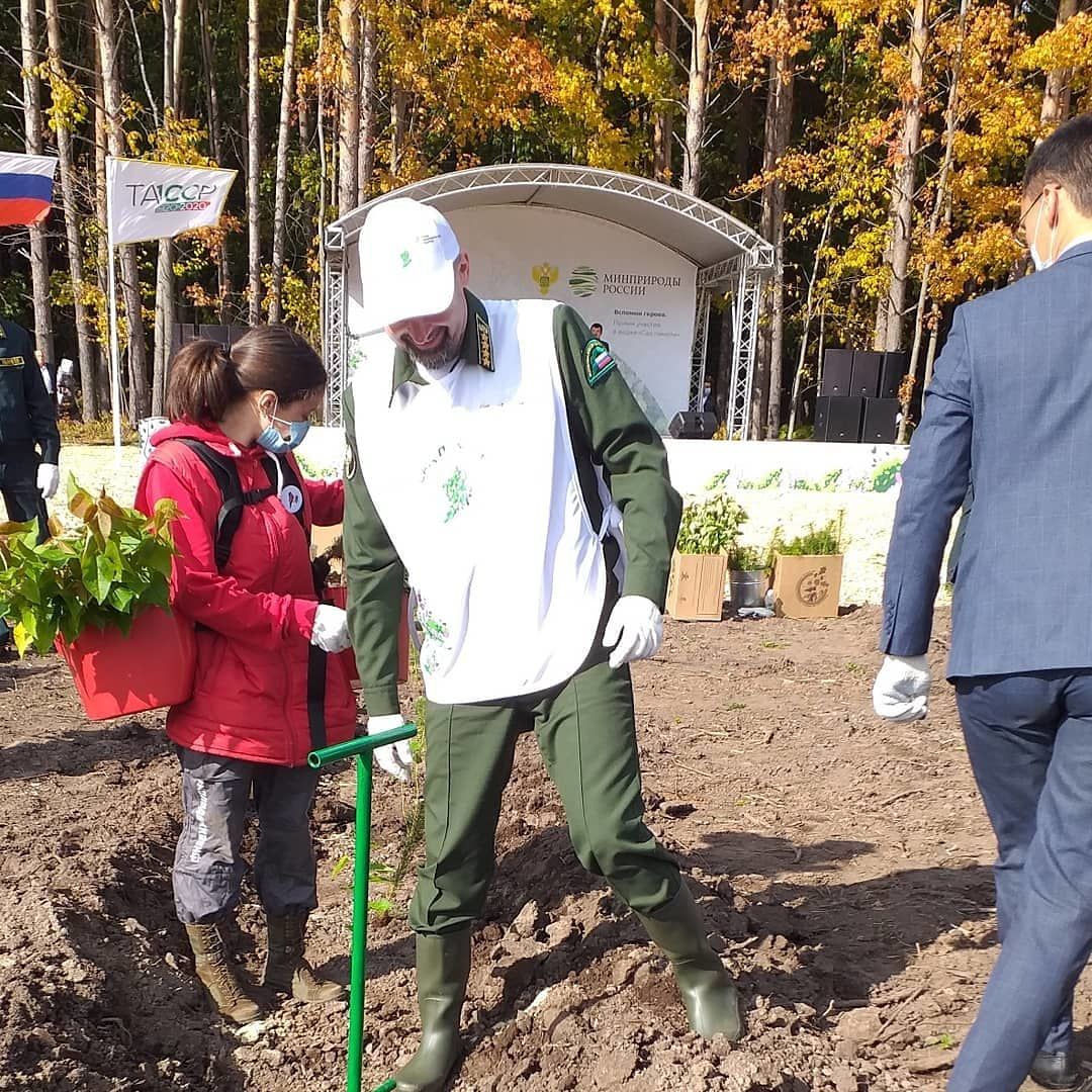 Яңа Арыш урманында президент утырткан наратта үсәчәк