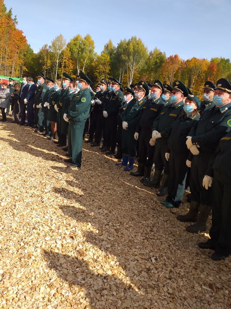 В Ново - Арышском лесу будет расти и президентская сосна