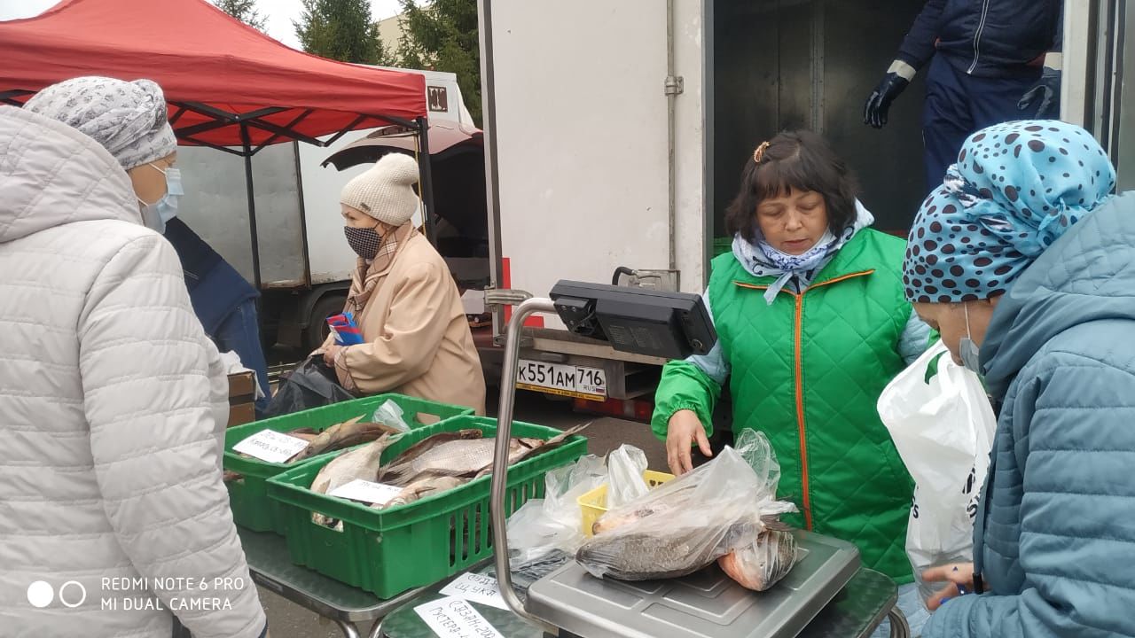 В честь Дня пожилого человека в Рыбно-Слободском районе прошла сельскохозяйственная ярмарка???????