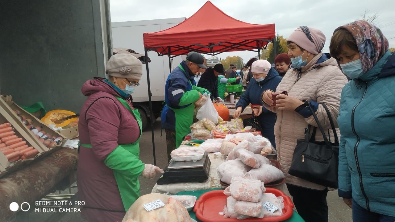 В честь Дня пожилого человека в Рыбно-Слободском районе прошла сельскохозяйственная ярмарка???????