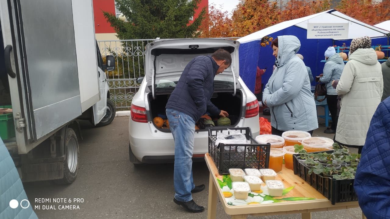 В честь Дня пожилого человека в Рыбно-Слободском районе прошла сельскохозяйственная ярмарка???????