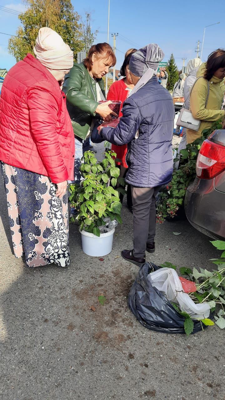 В Рыбно-Слободском районе чествовали представителей «третьего возраста»