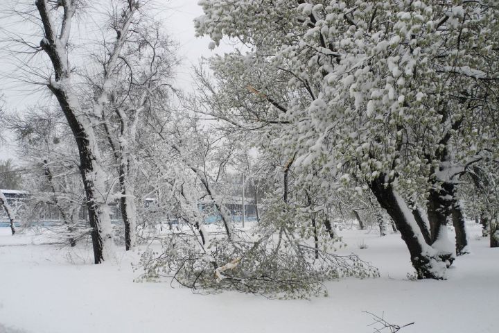 Погода на 18 декабря 2018 года