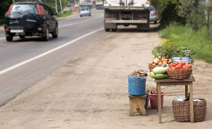 Чем опасны фрукты и овощи, купленные возле обочин дорог