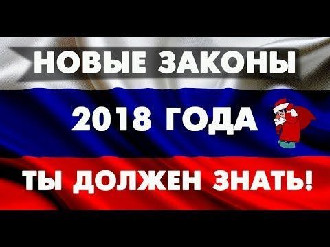 «Запрет определенных действий»: вступили в силу поправки в ПДД