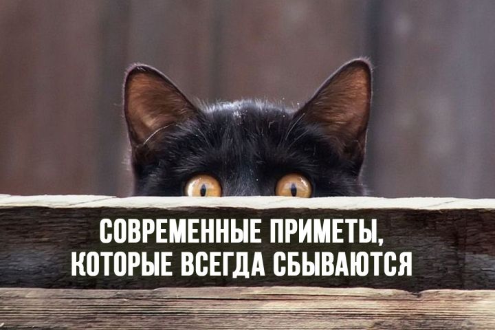 Современные приметы, которые всегда сбываются