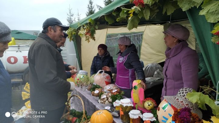 В Рыбной Слободе проходит сельскохозяйственная ярмарка  (Фоторепортаж)