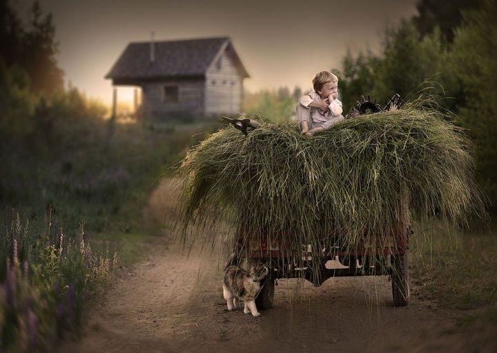 Почему в селах рожают больше детей, чем в городах