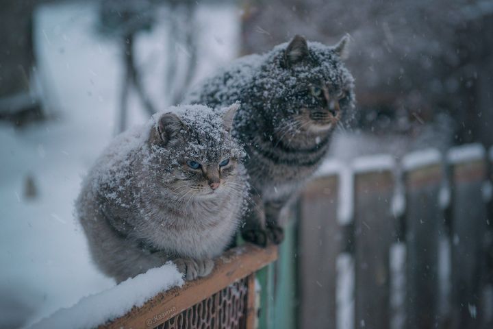 Погода на 05 февраля