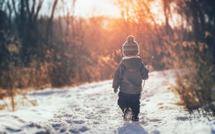 «Чудеса случаются»: пропавший 3-летний мальчик выжил в лесу и рассказал, что его спас медведь