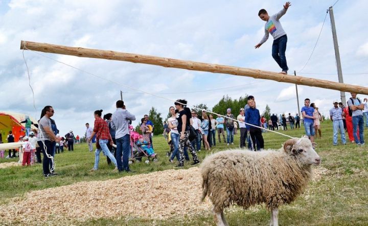 Стала известна дата проведения Сабантуя-2019 в Татарстане