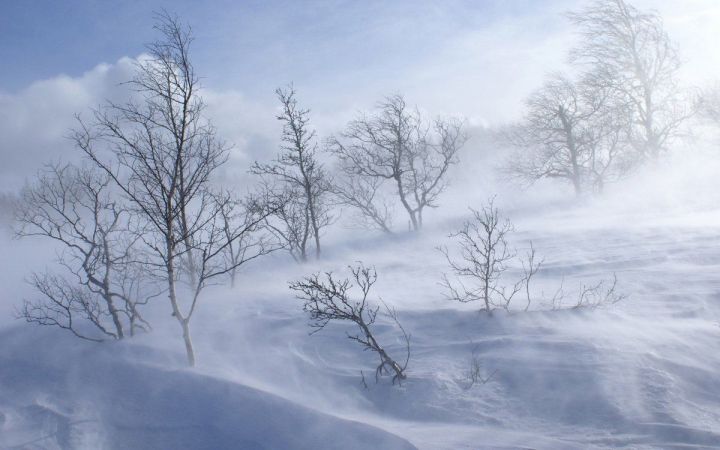 Очередные метели прогнозируют синоптики на этой неделе?