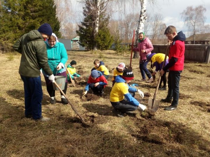 Шомырбаш мәктәбе укучылары чыршы утырттылар