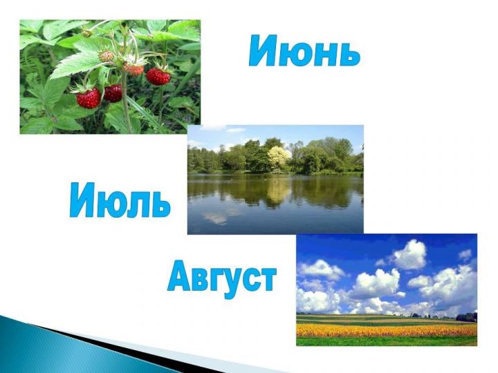 Каким будет лето в России в 2019 году: прогнозы по месяцам