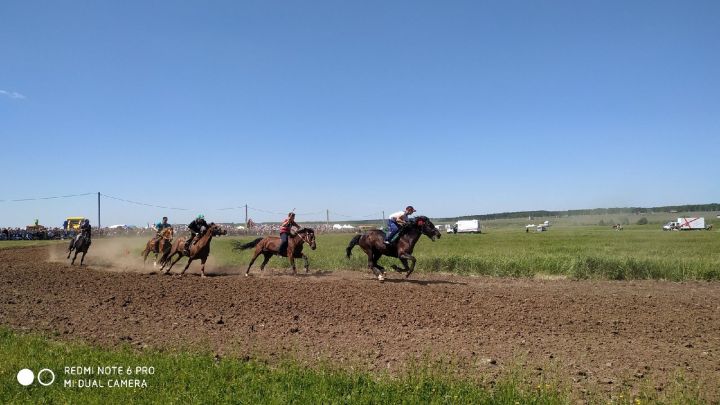 СКАЧУТ РЕЗВО КОНИ