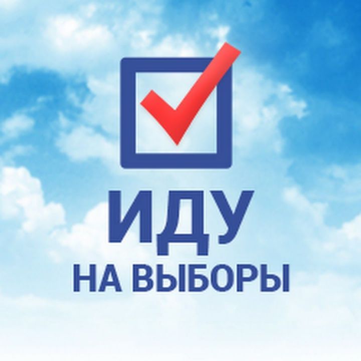 Почему надо идти на выборы?