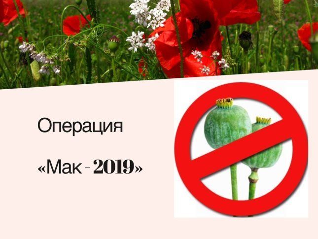 Идёт операция " Мак - 2019"