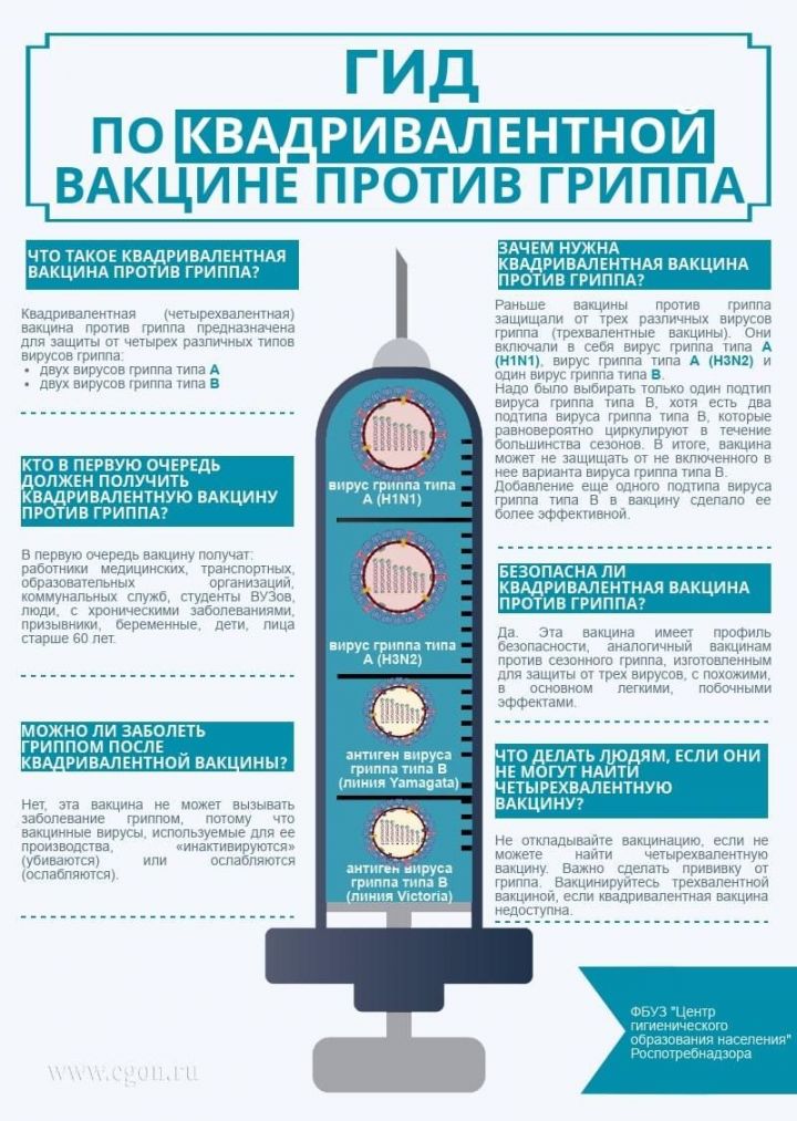 Что такое квадривалентная вакцина против гриппа?