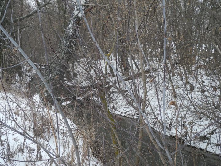 «Раньше дома затопляло, большой воды в последние годы нет»