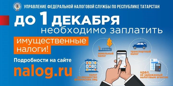 1 декабря истекает срок уплаты имущественных налогов в 2020 году