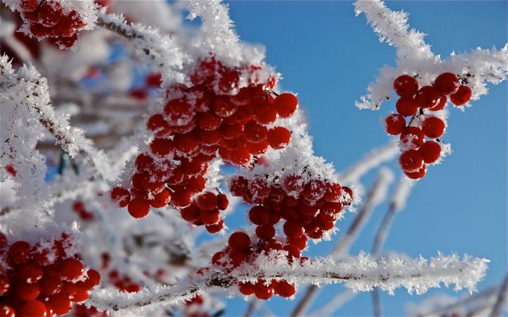 Погода в Рыбной Слободе на 22 февраля