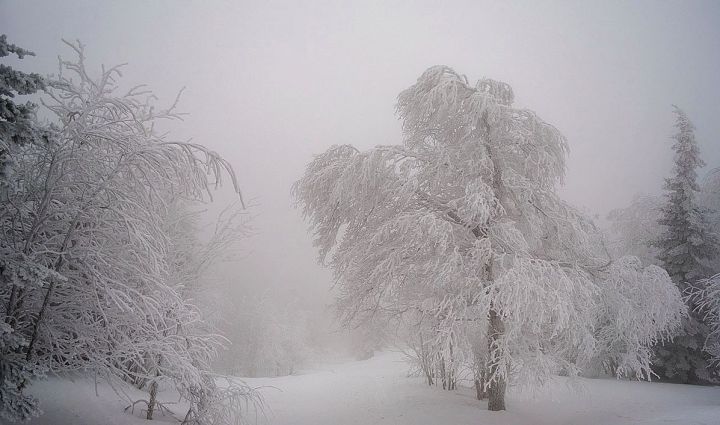 Погода на 25 февраля