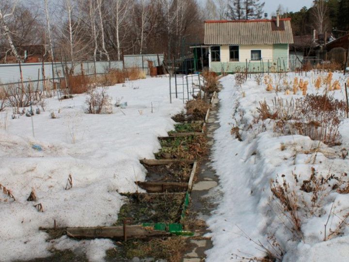 О чем нужно позаботиться в саду-огороде в марте