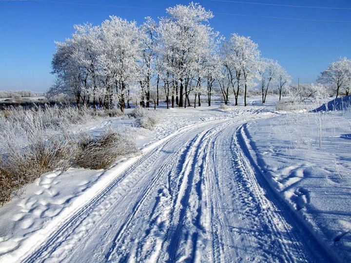 Погода в Рыбной Слободе на 7 февраля