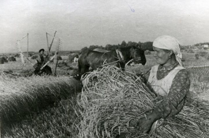 Министерство сельского хозяйства и продовольствия Республики Татарстан поздравляет работников агропромышленного комплекса со 100-летием ТАССР