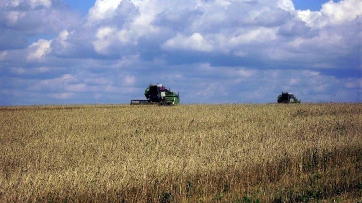 В Татарстане пройдет конкурс комбайнеров