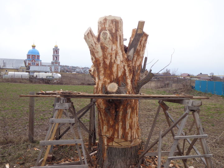 Красивые фигуры из старого дерева встречают гостей района