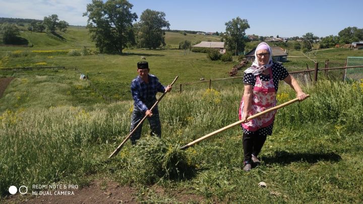 Хочешь хорошо жить - вставай на рассвете